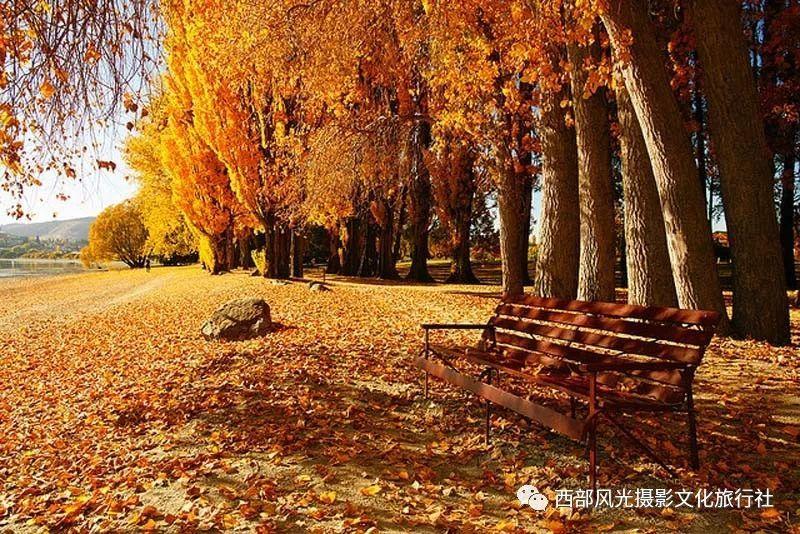 章鱼喷墨汁