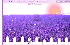 巴基斯坦:非法出售国礼 前总理夫妇被判14年监禁