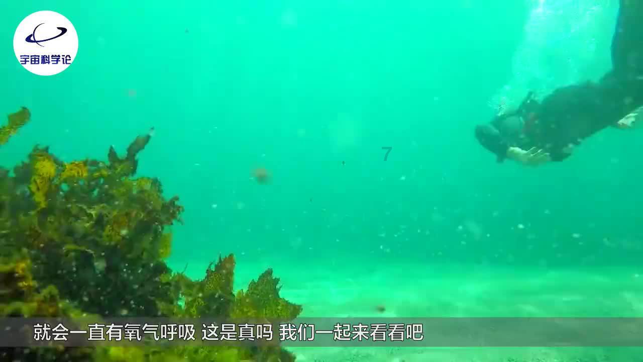 万词王