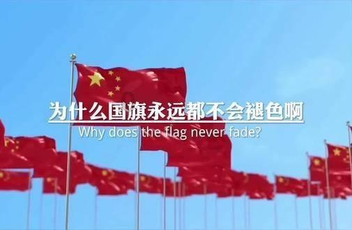 哈尼和她的宠物们